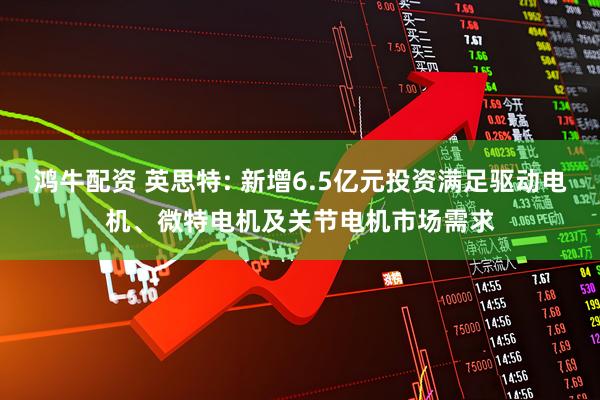 鸿牛配资 英思特: 新增6.5亿元投资满足驱动电机、微特电机及关节电机市场需求