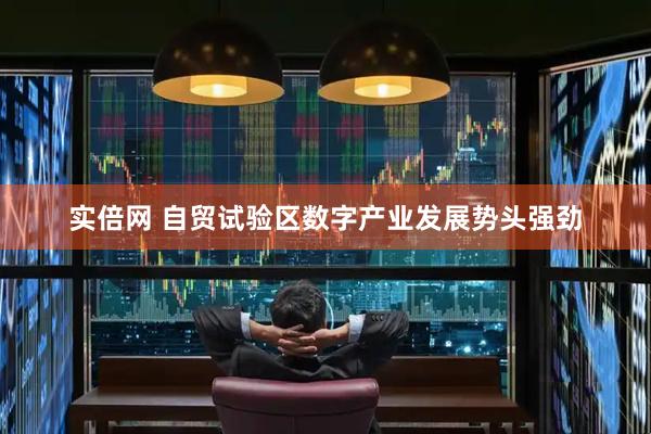 实倍网 自贸试验区数字产业发展势头强劲